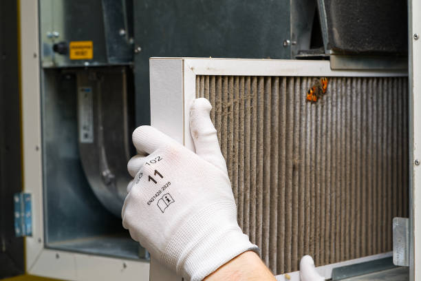 Best Home Air Vent Cleaning  in Blair, NE