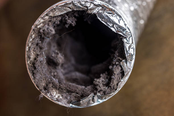 Best Commercial Air Duct Cleaning  in Blair, NE
